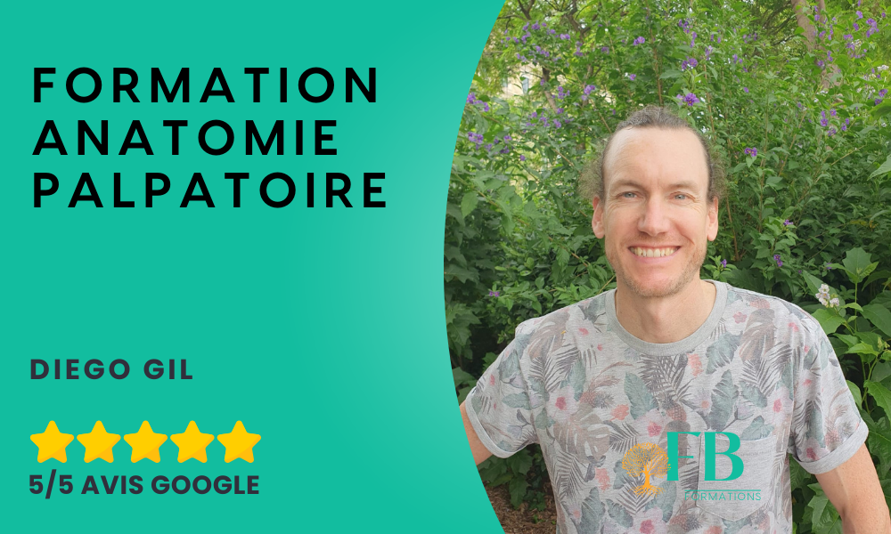Anatomie palpatoire